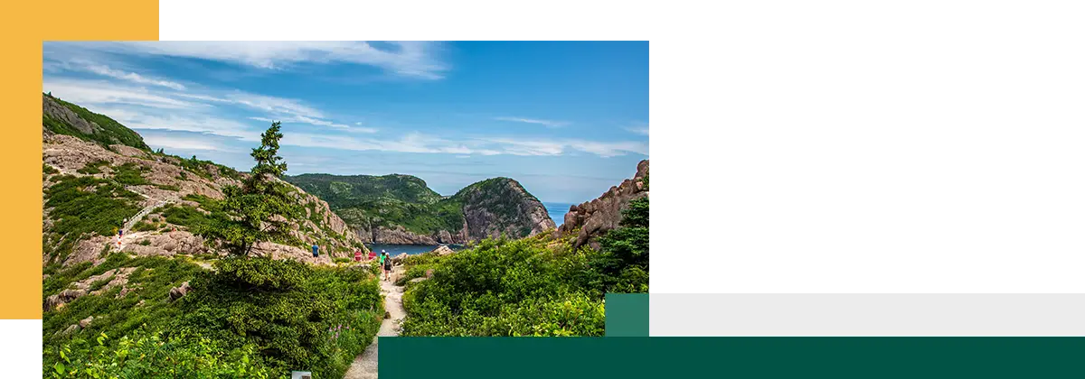 Escaliers menant au point de vue du sentier North Head