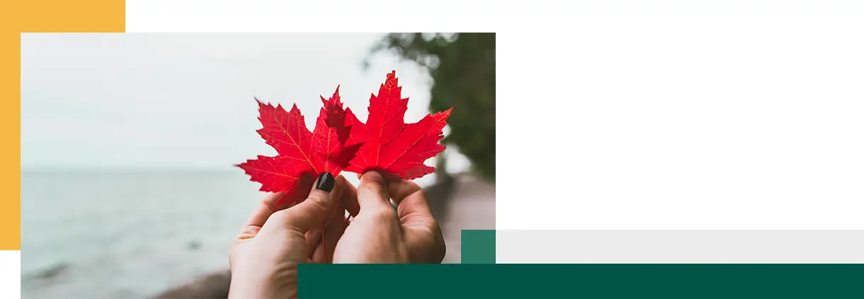 Un couple amoureux tient deux feuilles d'érable rouge, symbole national du Canada.