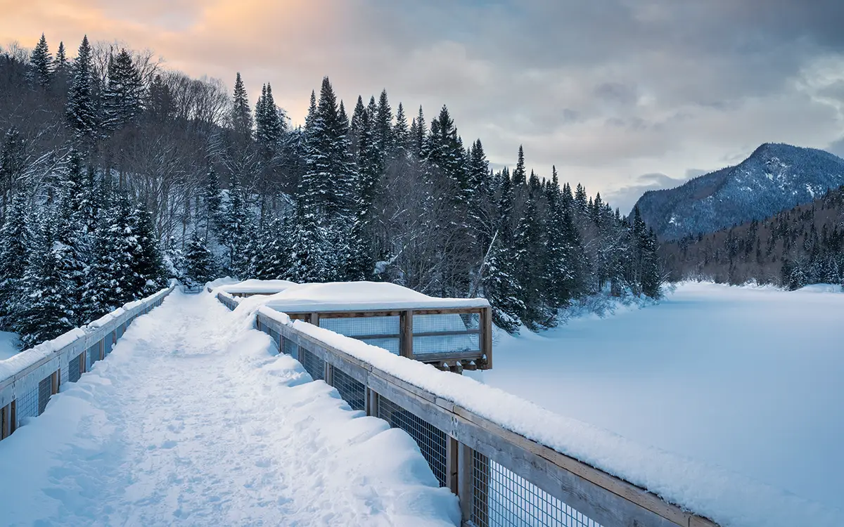 Un pont en bois menant à un lac gelé, entouré d'arbres enneigés et d'un paysage hivernal serein.