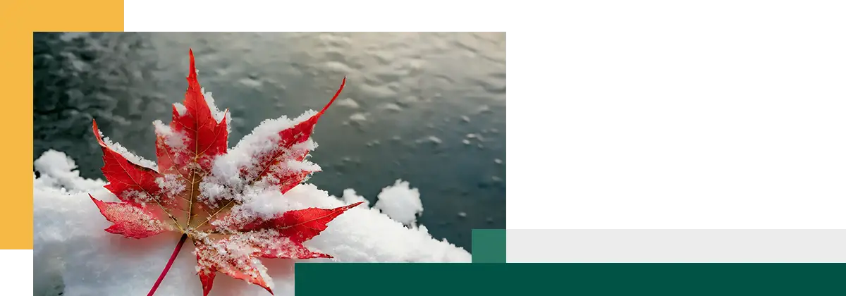 Une feuille d’érable rouge recouverte de neige, posée sur une surface enneigée près de l’eau.