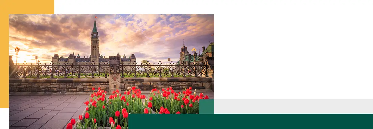 Vue du Parlement canadien à Ottawa pendant le festival des tulipes.