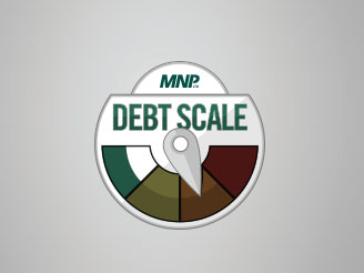 MNP LTD Debt Scale