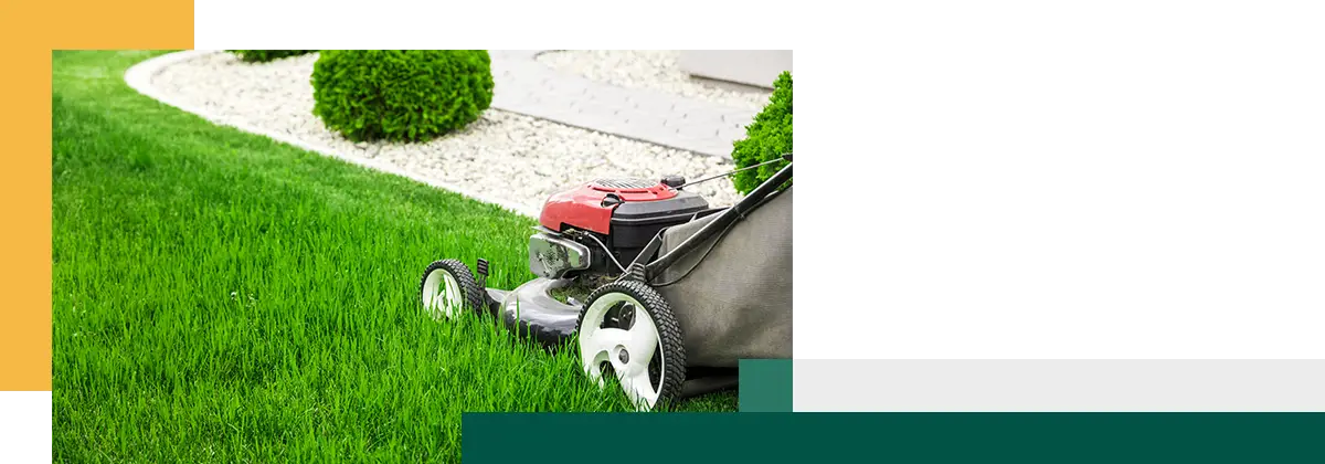 Tondeuse à gazon coupant l'herbe verte dans la loi sur la tonte du jardin