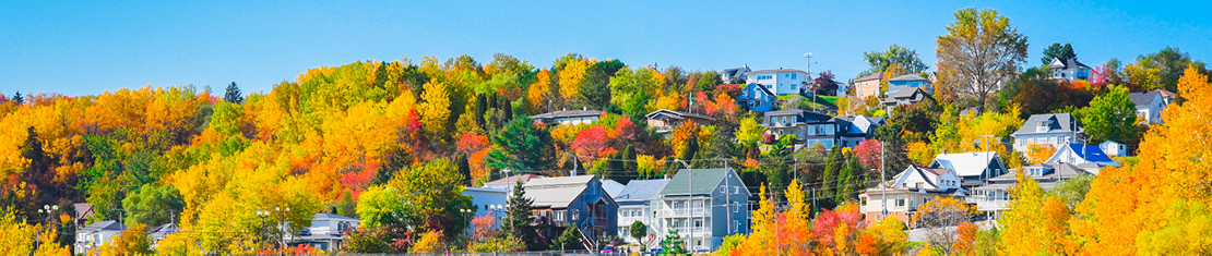 quebec banner image