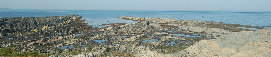 Rimouski banner image