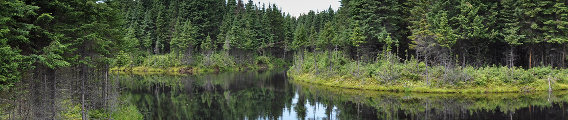 quebec banner image